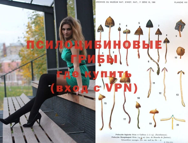 гашик Верхний Тагил